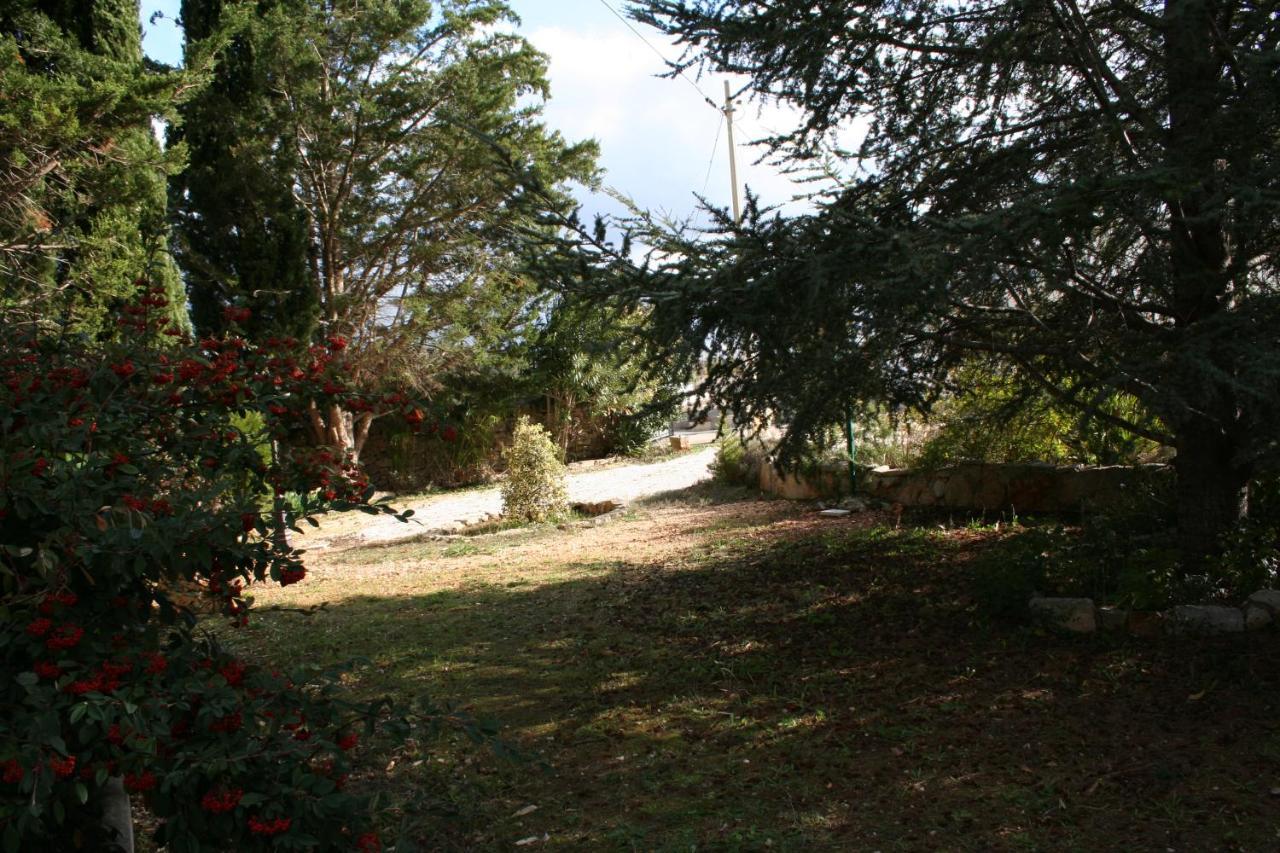 Casa Vacanza I Cedri Martina Franca Ngoại thất bức ảnh