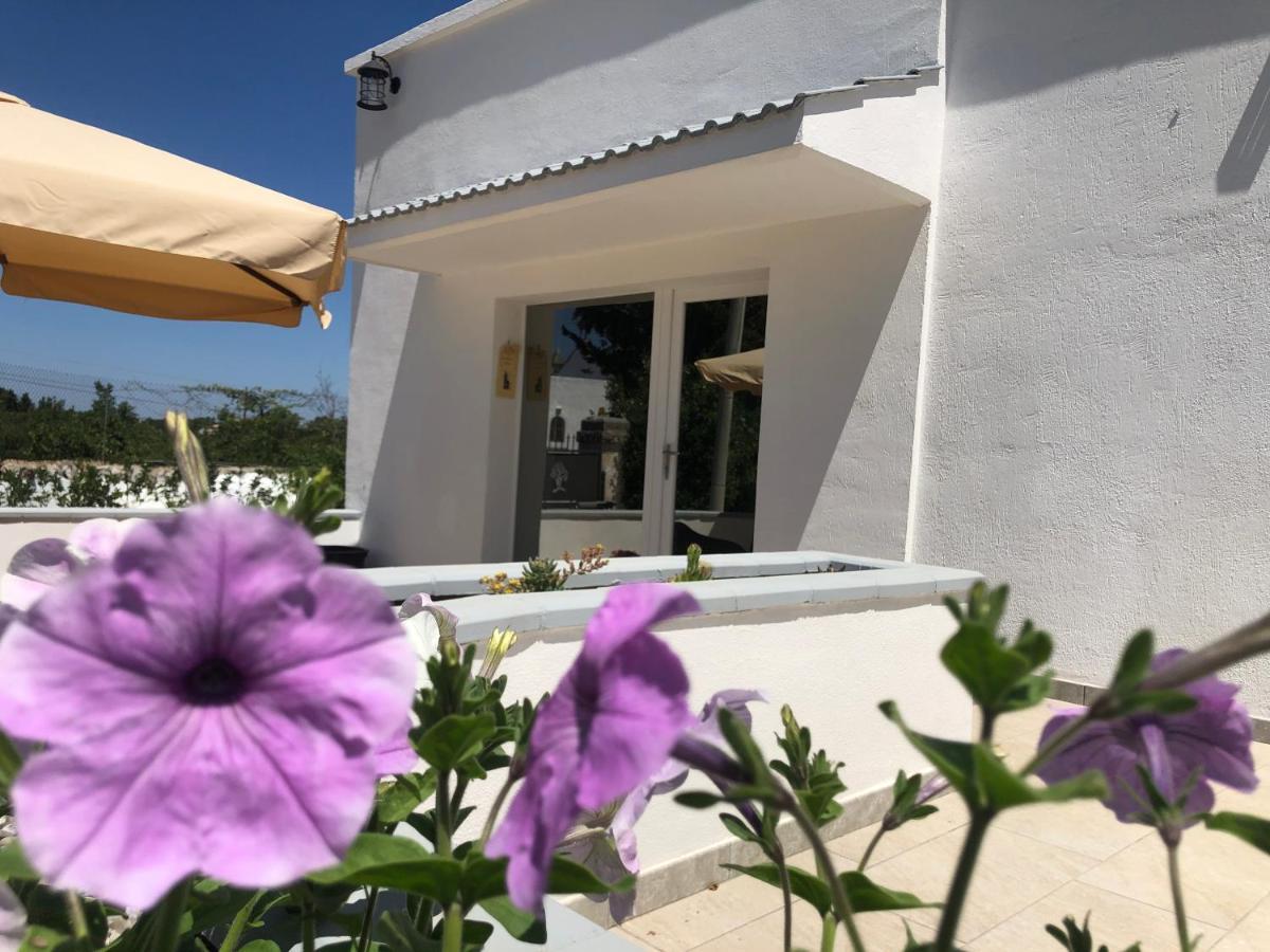 Casa Vacanza I Cedri Martina Franca Ngoại thất bức ảnh